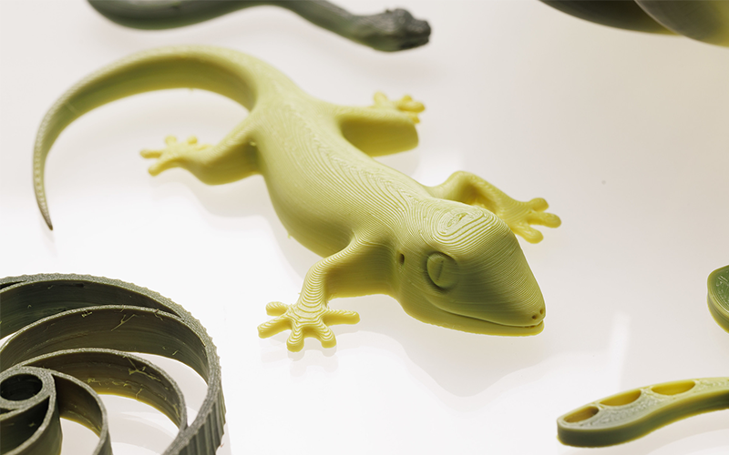 A 4D printed lizard